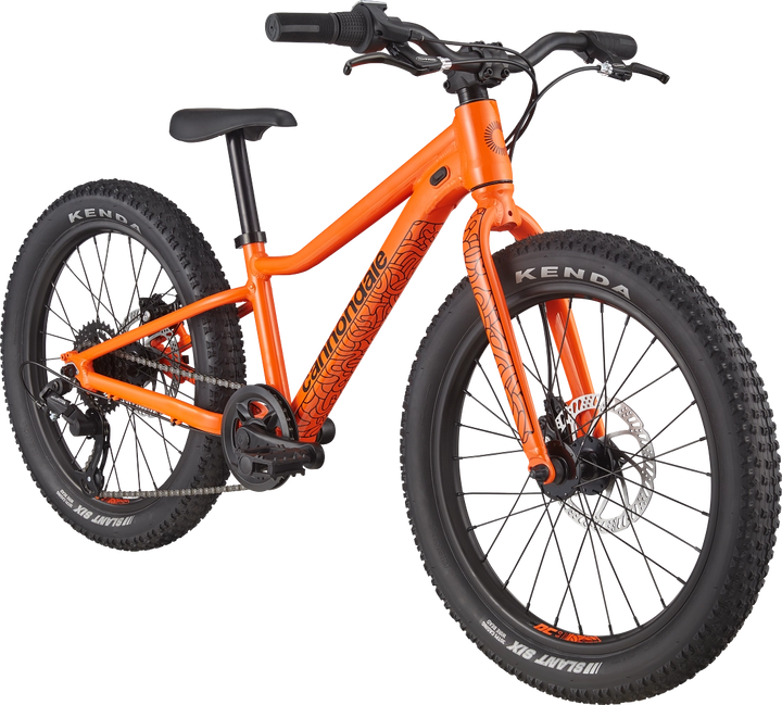 Cannondale 20 Kids Trail Plus