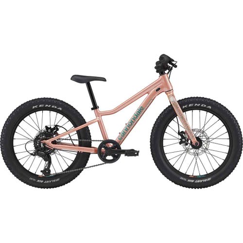 Cannondale 20 Kids Trail Plus